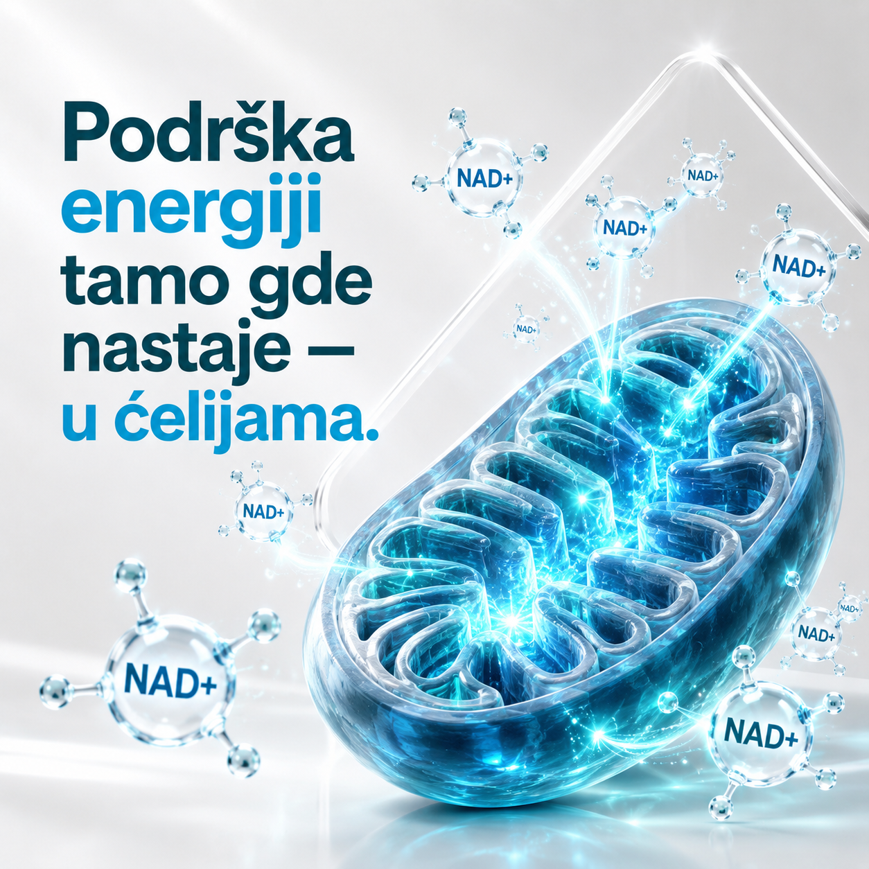 AnaVital (NAD+ booster) - 30 kapsula - Slika 3